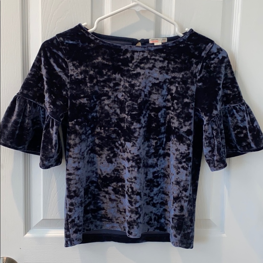 J Crew Blue Velvet Top